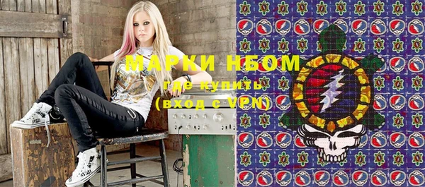 сатива Абинск
