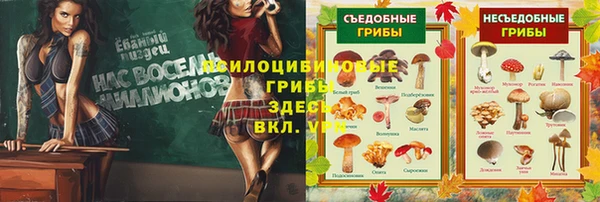 ALPHA-PVP Россошь